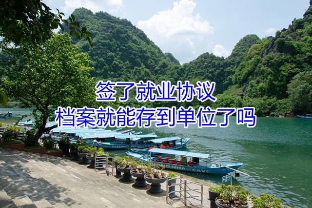 签了就业协议档案就能存到单位了吗