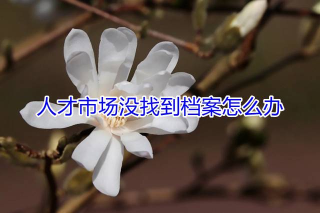 人才市场没找到档案怎么办