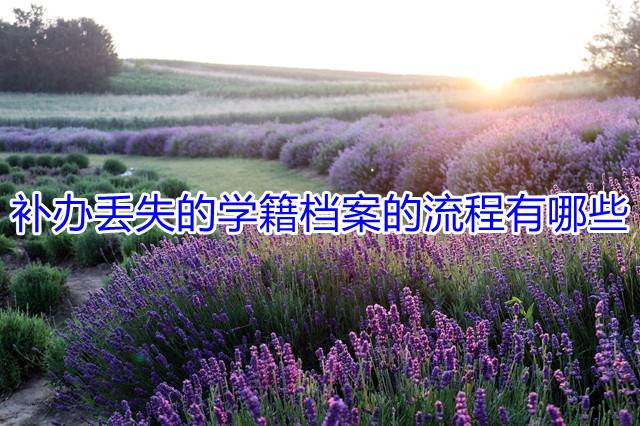 补办丢失的学籍档案的流程有哪些