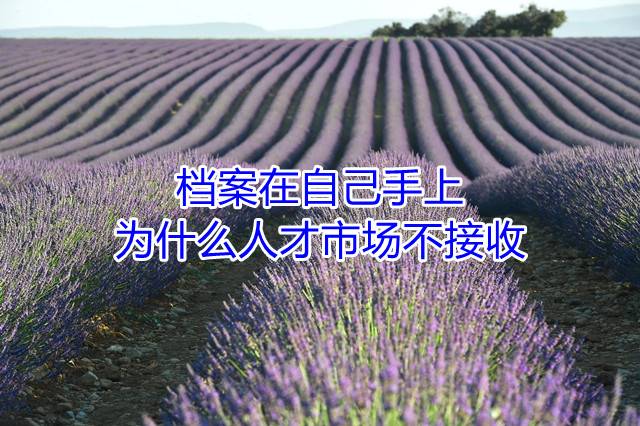 档案在自己手上为什么人才市场不接收
