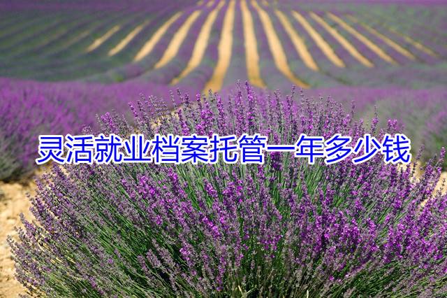 灵活就业档案托管一年多少钱