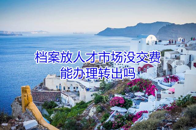 档案放人才市场没交费能办理转出吗