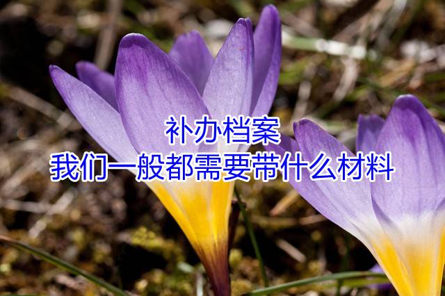 补办档案我们一般都需要带什么材料