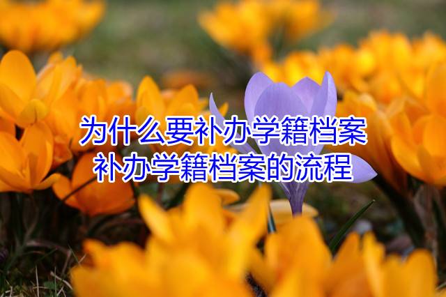 为什么要补办学籍档案，补办学籍档案的流程