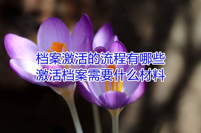档案激活的流程有哪些，激活档案需要什么材料