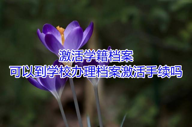 激活学籍档案可以到学校办理档案激活手续吗