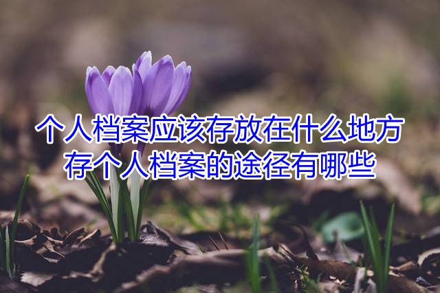 个人档案应该存放在什么地方，存个人档案的途径有哪些