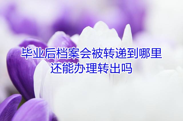 毕业后档案会被转递到哪里，还能办理转出吗