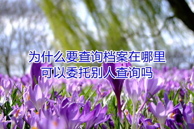 为什么要查询档案在哪里，可以委托别人查询吗