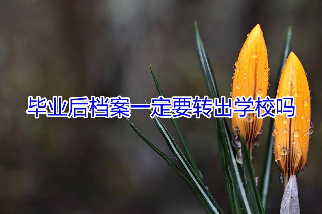 毕业后档案一定要转出学校吗