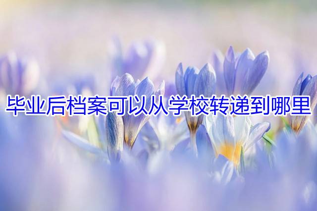 毕业后档案可以从学校转递到哪里