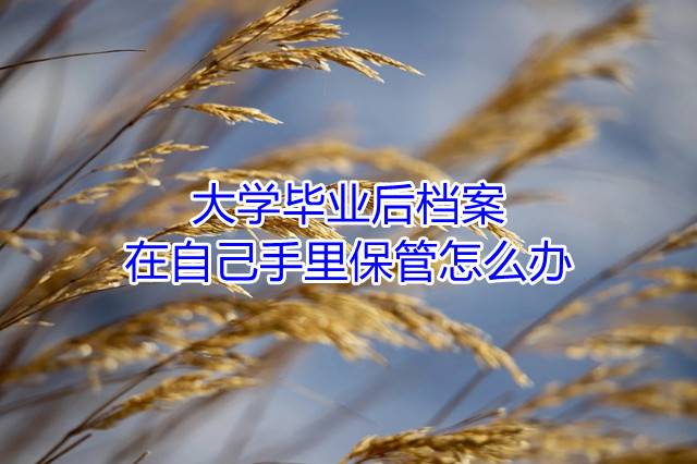 大学毕业后档案在自己手里保管怎么办