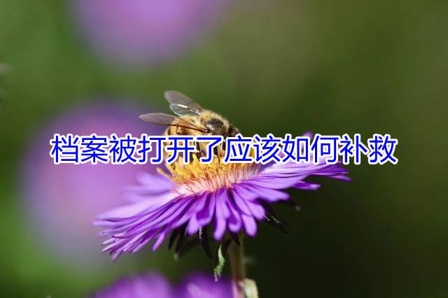 档案被打开了应该如何补救