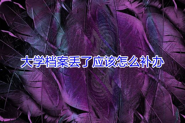 大学档案丢了应该怎么补办