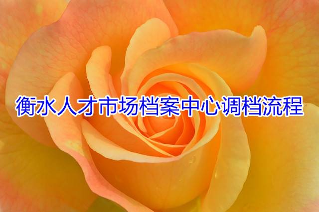 衡水人才市场档案中心调档流程