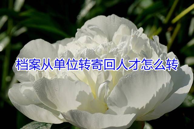 档案从单位转寄回人才怎么转