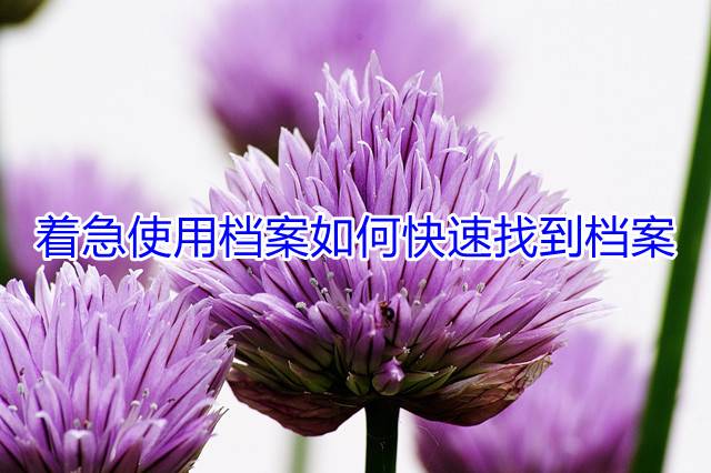 着急使用档案如何快速找到档案