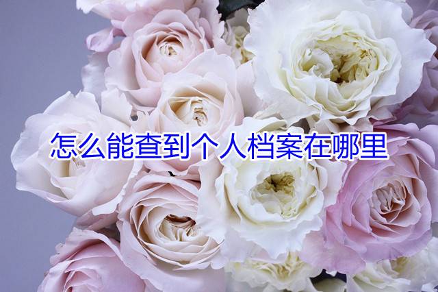 怎么能查到个人档案在哪里