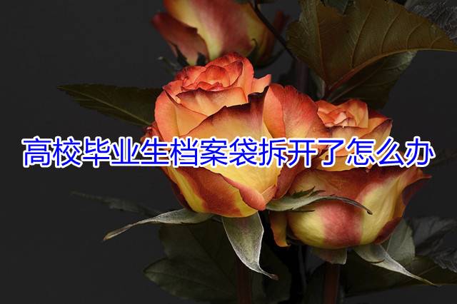 高校毕业生档案袋拆开了怎么办