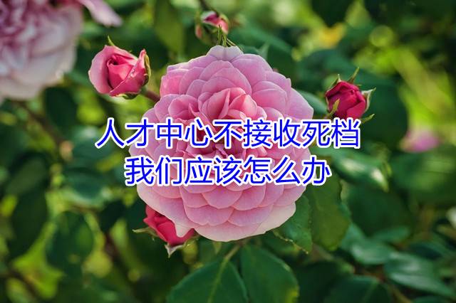 人才中心不接收死档，我们应该怎么办