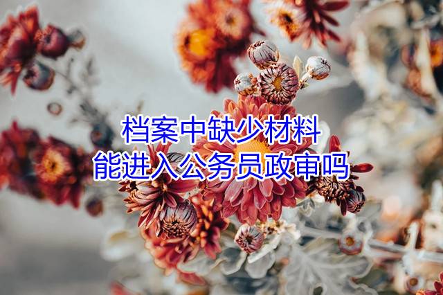 档案中缺少材料能进入公务员政审吗