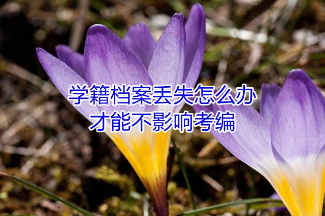 学籍档案丢失怎么办才能不影响考编