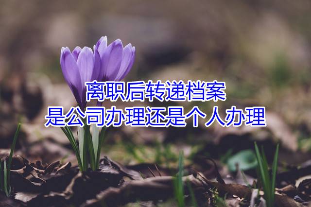 离职后转递档案是公司办理还是个人办理
