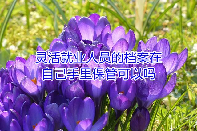 灵活就业人员的档案字自己手里保管可以吗