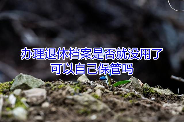 办理退休档案是否就没用了，可以自己保管吗