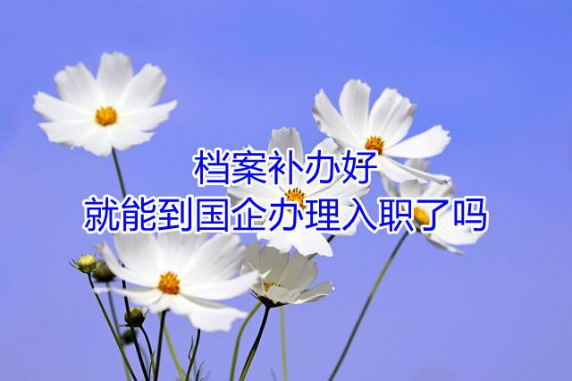 档案补办好就能到国企办理入职了吗