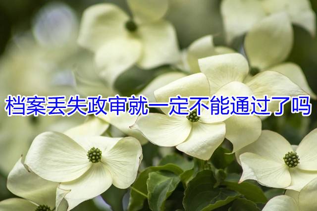 档案丢失政审就一定不能通过了吗
