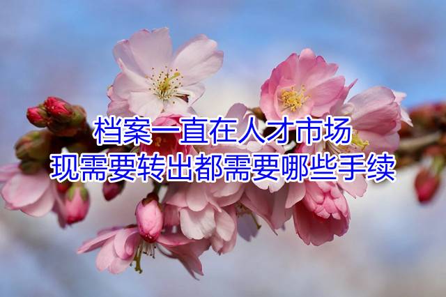 档案一直在人才市场现需要转出都需要哪些手续