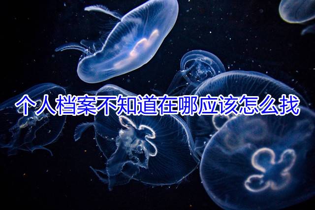 个人档案不知道在哪应该怎么找