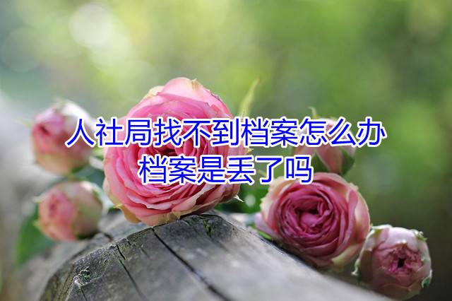 人社局找不到档案怎么办，档案是丢了吗