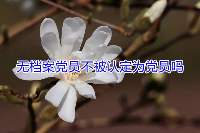 无档案党员不被认定为党员吗.jpg
