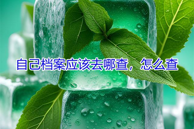自己档案应该去哪查，怎么查