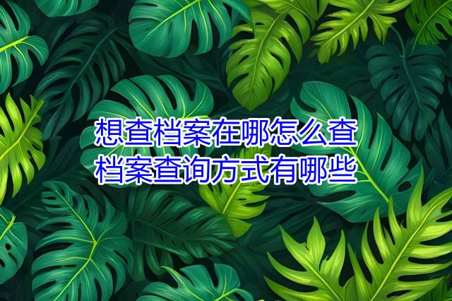 想查档案在哪怎么查，档案查询方式有哪些