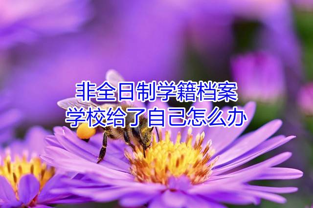 非全日制学籍档案学校给了自己怎么办
