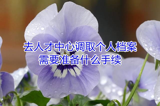 去人才中心调取个人档案需要准备什么手续