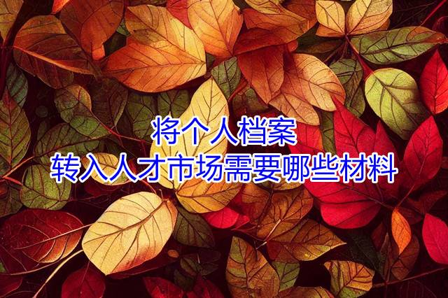 将个人档案转入人才市场需要哪些材料