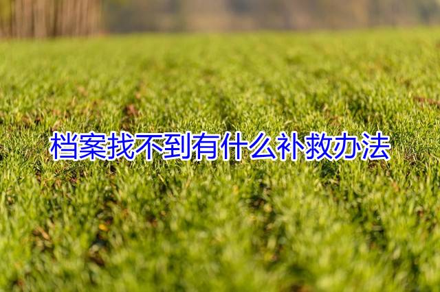 档案找不到有什么补救办法