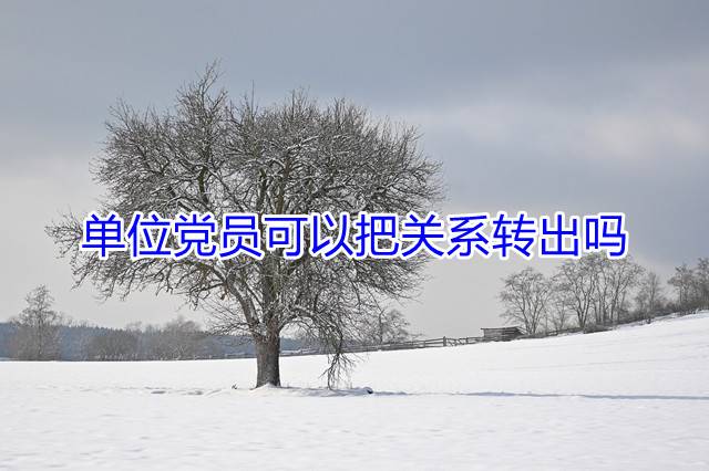 单位党员可以把关系转出吗