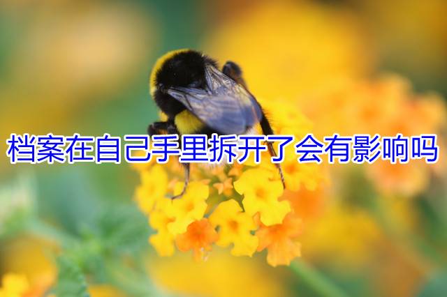 档案在自己手里拆开了会有影响吗