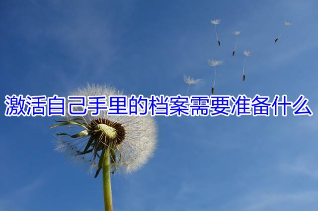 激活自己手里的档案需要准备什么