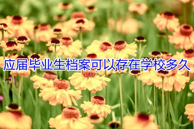 应届毕业生档案可以存在学校多久