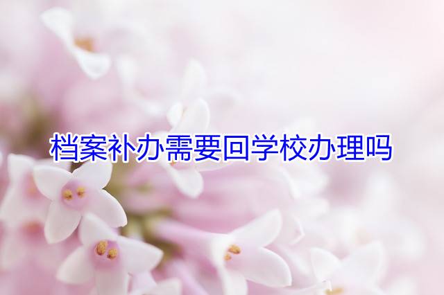 档案补办需要回学校办理吗