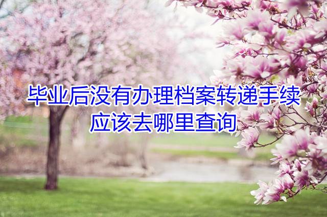 毕业后没有办理档案转递手续应该去哪里查询
