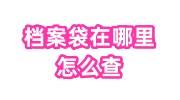 档案袋在哪里怎么查, 查询学籍档案所在地看这里