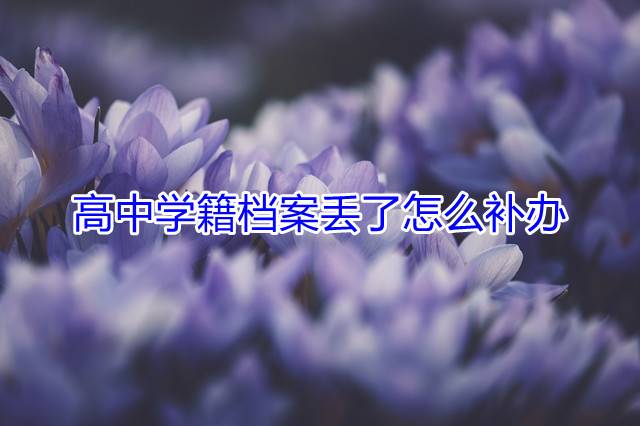 高中学籍档案丢了怎么补办
