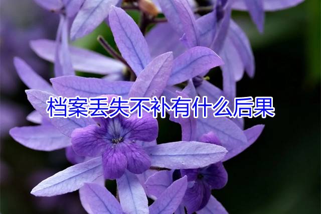 档案丢失不补有什么后果